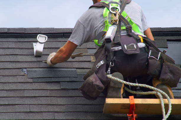 Best Storm Damage Siding Repair  in Egan, LA