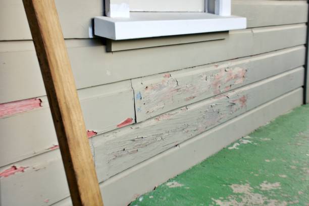 Best Historical Building Siding Restoration  in Egan, LA